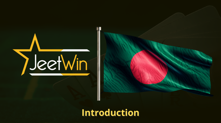 যদি JeeTwin ওয়েবসাইট দীর্ঘকাল অ্যাক্সেসযোগ্য না হয়, ব্যবহারকারী কিভাবে তথ্য সুরক্ষিত রাখতে পারেন?